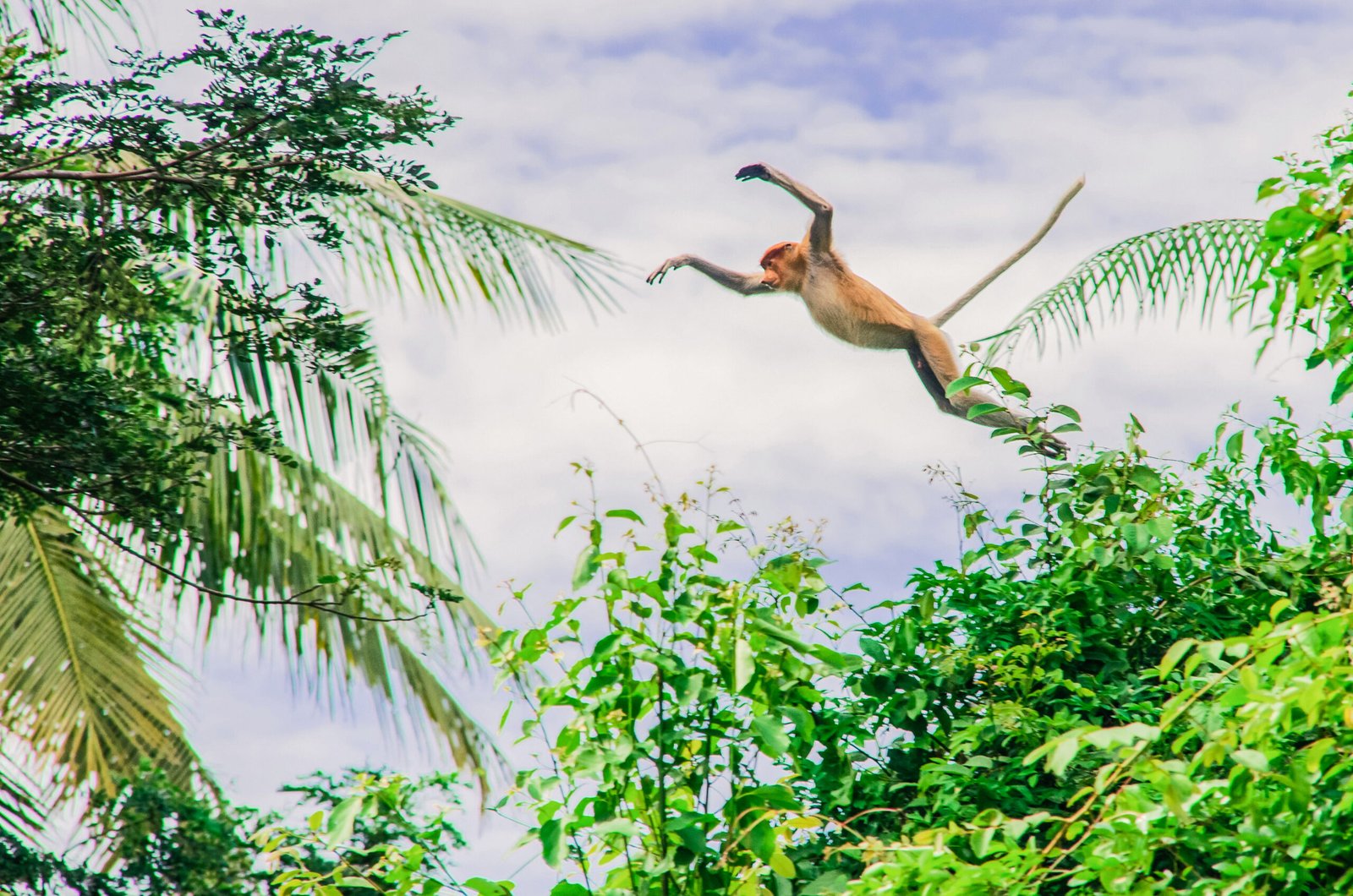 Amazing Kawa River Cruise - Image 13