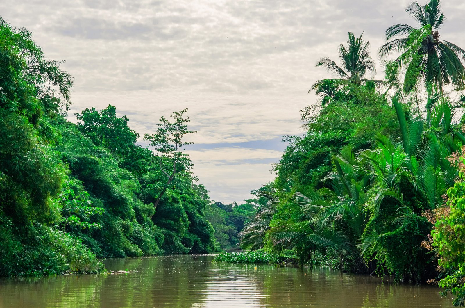 Amazing Kawa River Cruise - Image 10