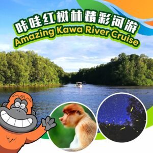精彩KAWA红树林