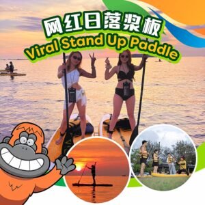 Viral Stand Up Paddle